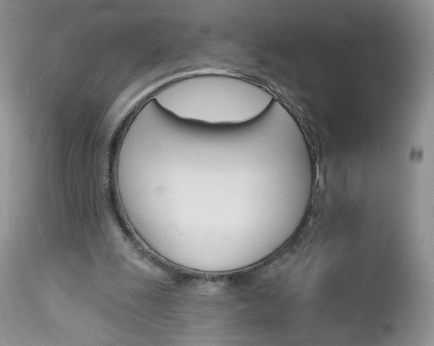 X0000113100247200908280959