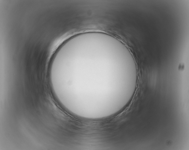 X0000113100248200908280959