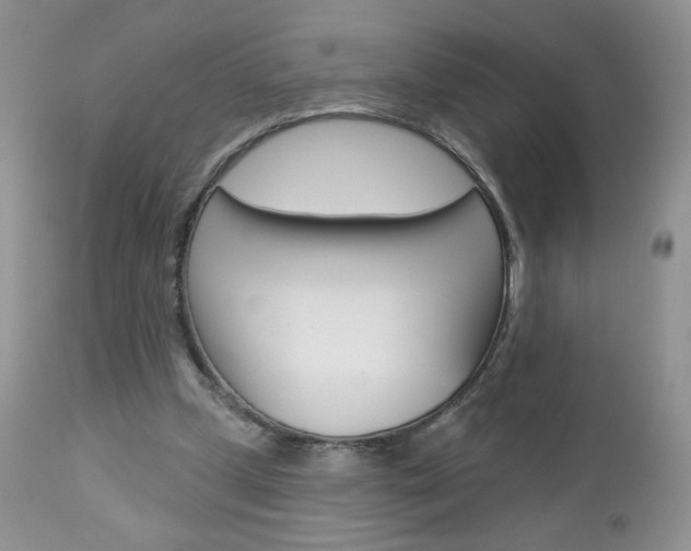 X0000113100249200908280959