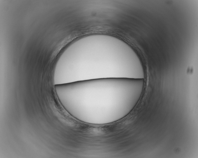 X0000113100250200908280959