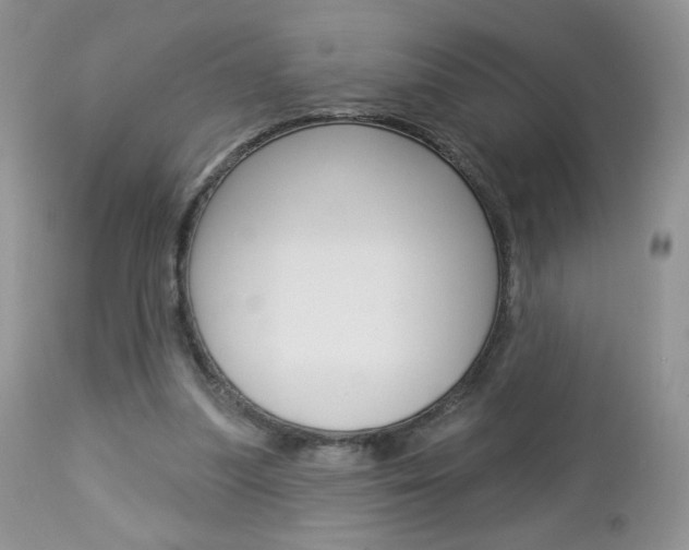 X0000113100251200908280959