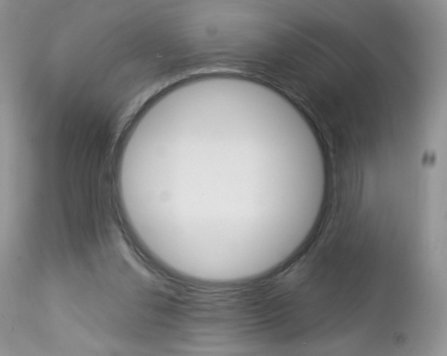 X0000113100252200908280959