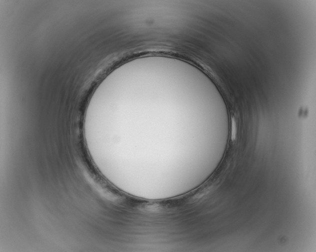 X0000113100253200908280959