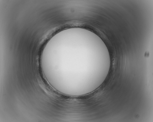 X0000113100254200908280959