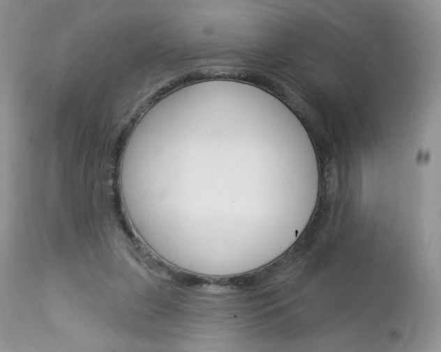 X0000113100255200908280959