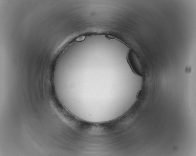 X0000113100256200908280959