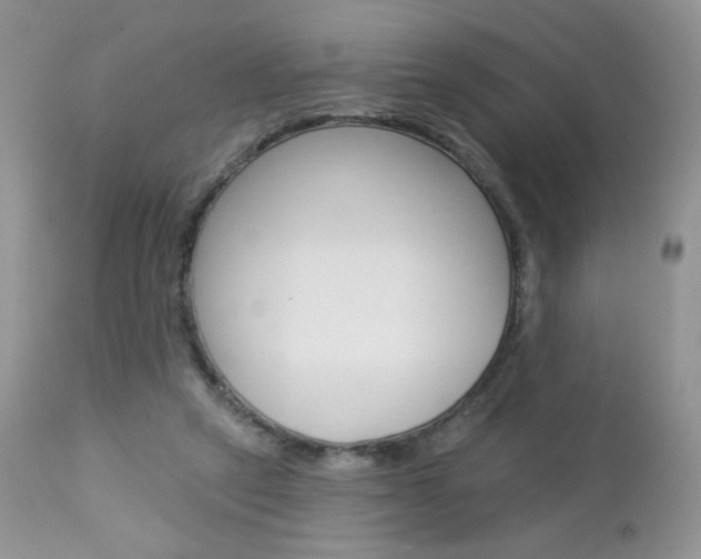 X0000113100257200908280959