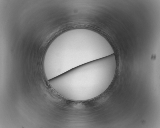X0000113100258200908280959