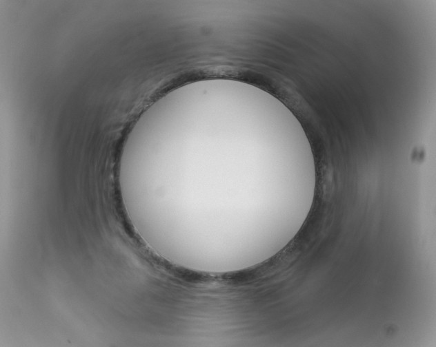X0000113100259200908280959