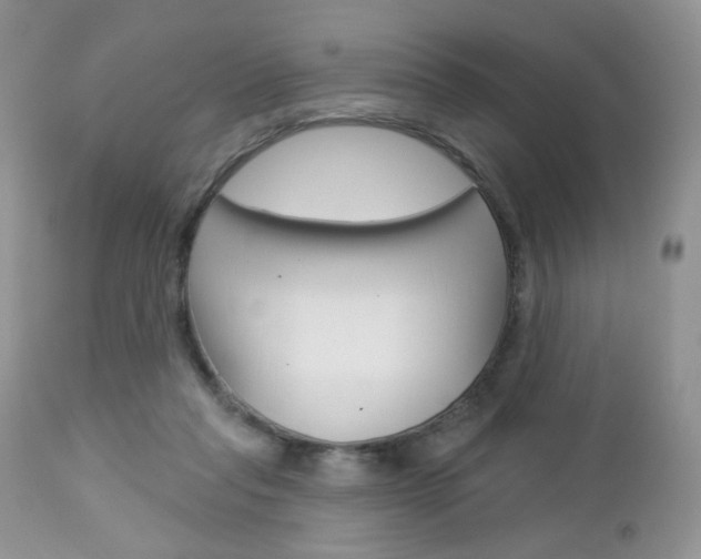 X0000113100261200908280959