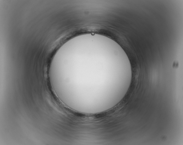 X0000113100262200908280959