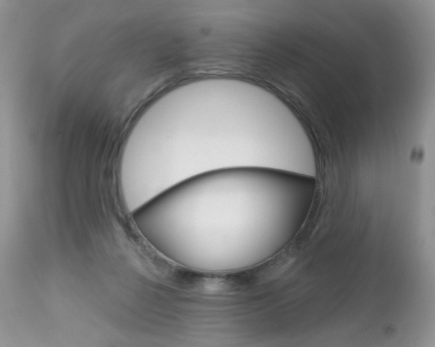 X0000113100264200908280959