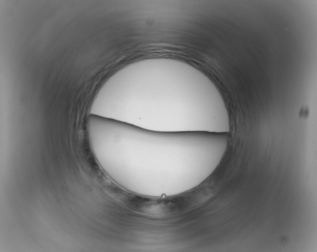 X0000113100267200908280959