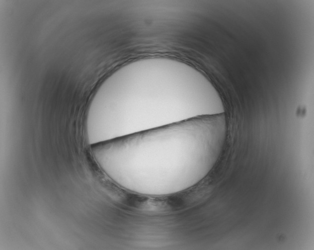 X0000113100270200908280959