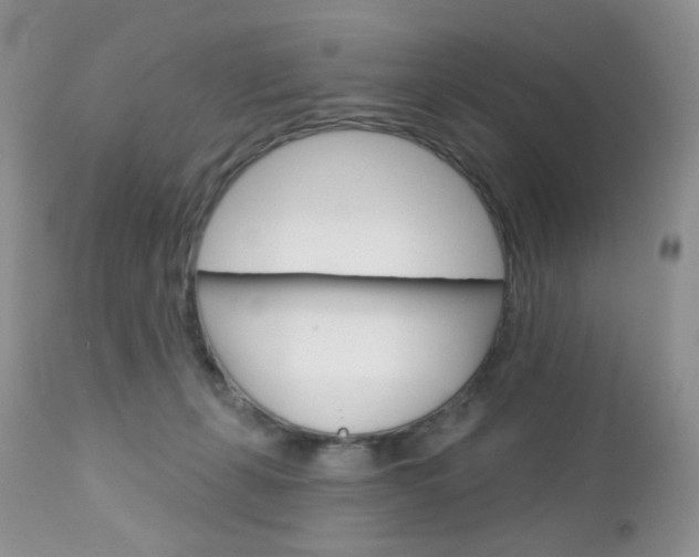 X0000113100271200908280959