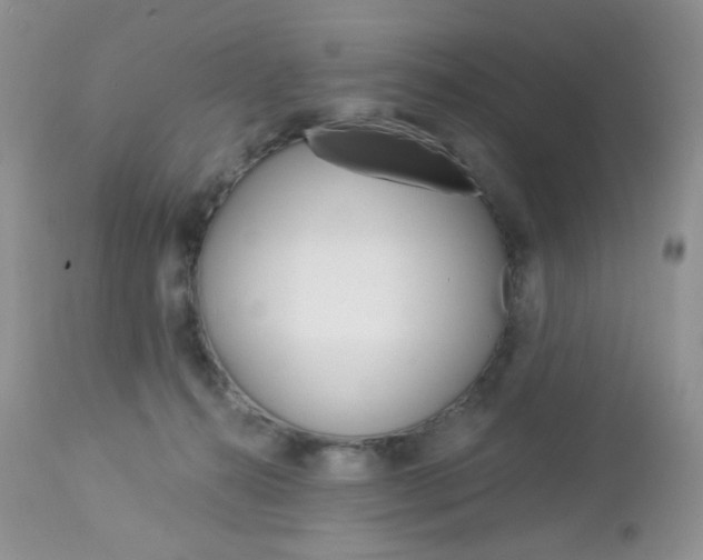 X0000113100272200908280959