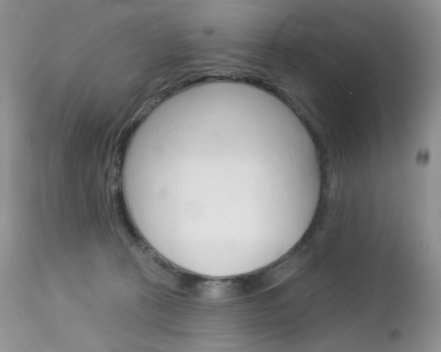 X0000113100273200908280959