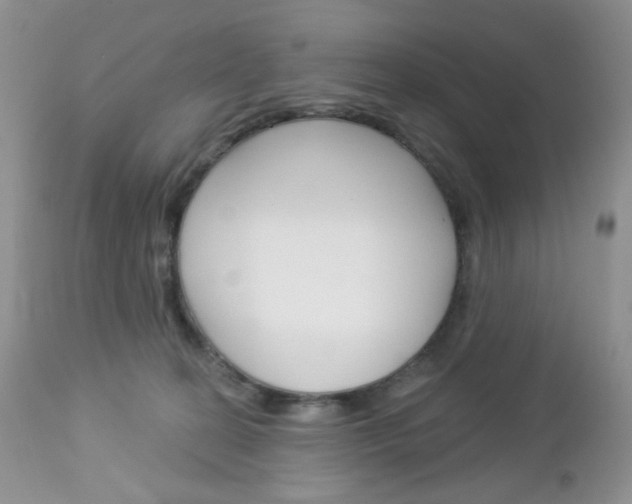X0000113100274200908280959