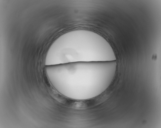 X0000113100275200908280959