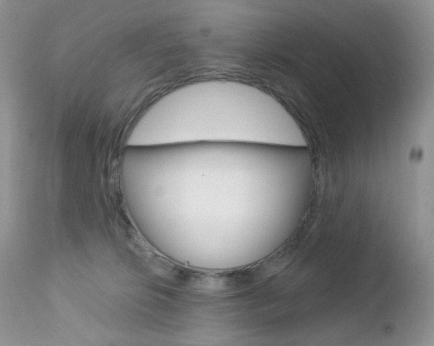 X0000113100276200908280959