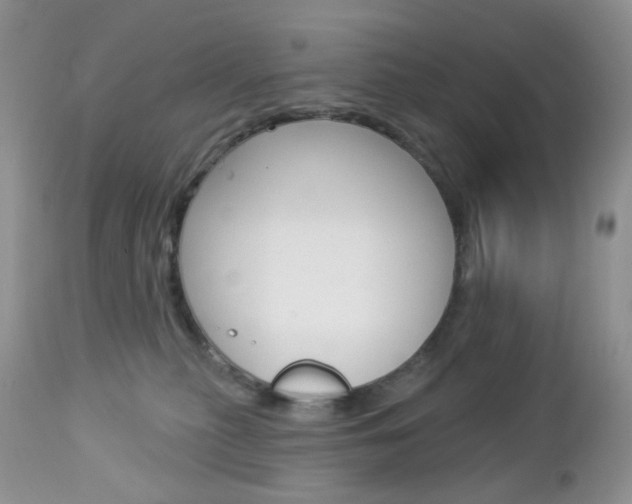 X0000113100279200908280959