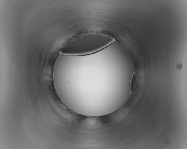 X0000113100280200908280959