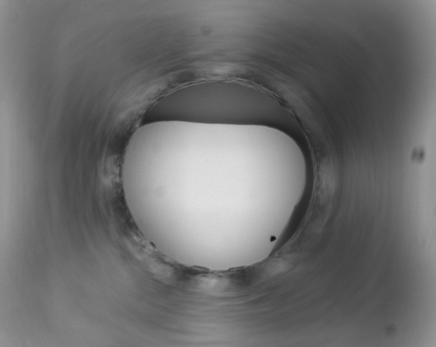 X0000113100284200908280959
