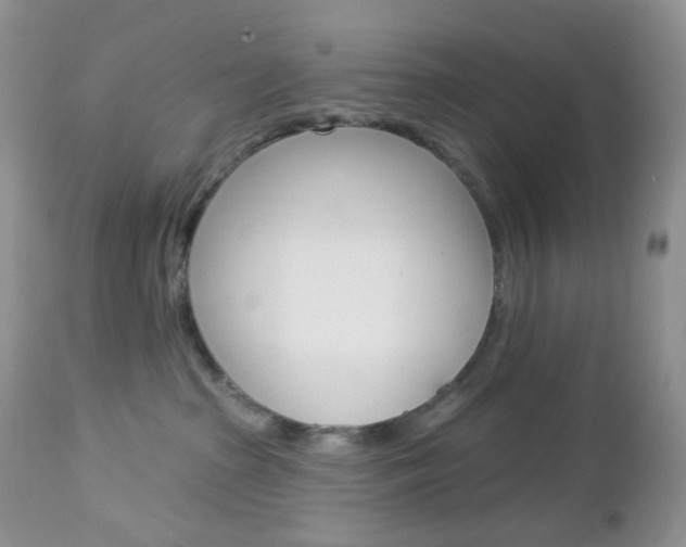 X0000113100285200908280959