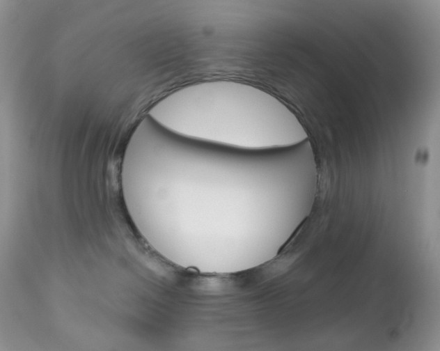 X0000113100286200908280959