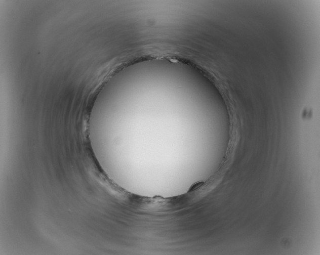 X0000113100288200908280959