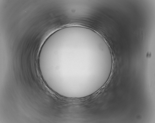 X0000113100289200908280959