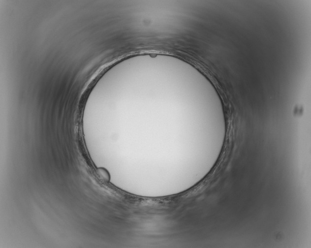 X0000113100290200908280959