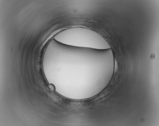 X0000113100291200908280959