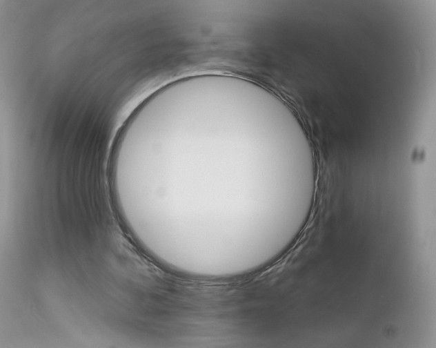 X0000113100292200908280959