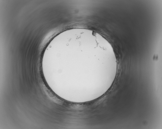 X0000113100293200908280959