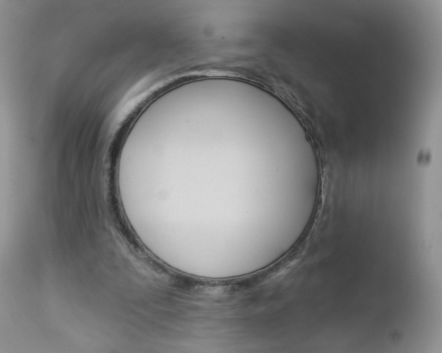 X0000113100295200908280959