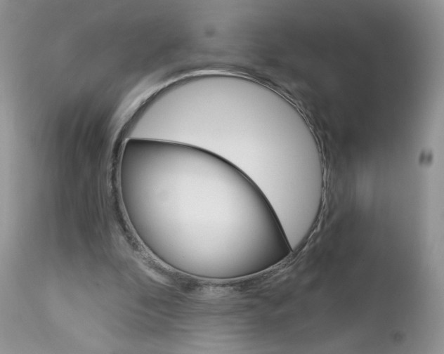 X0000113100296200908280959