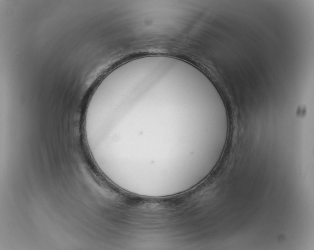 X0000113100299200908280959