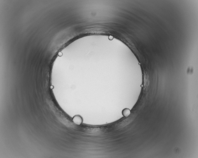 X0000113100301200908280959