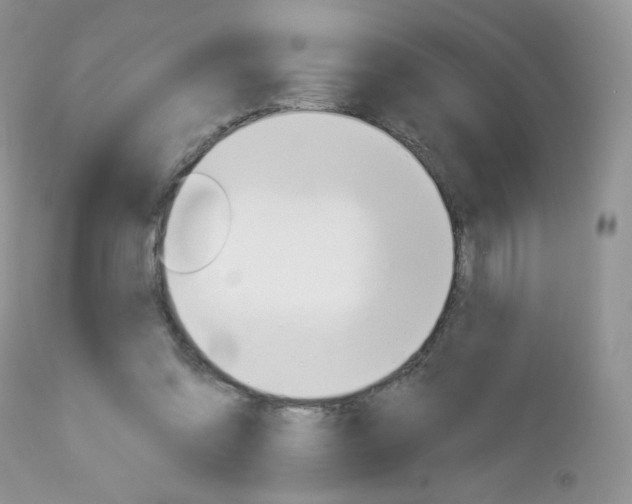 X0000113100302200908280958