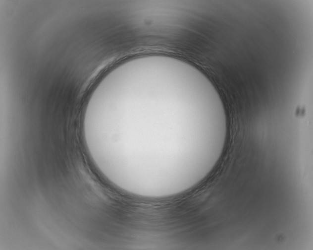 X0000113100304200908280958