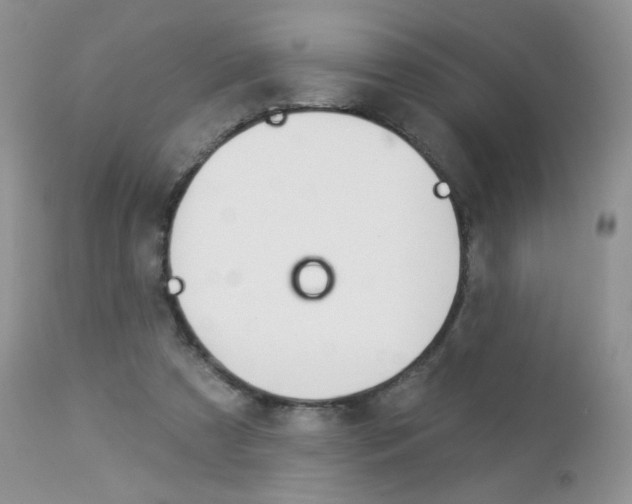 X0000113100305200908280958