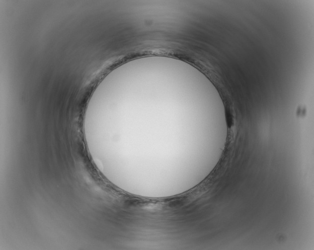 X0000113100306200908280958