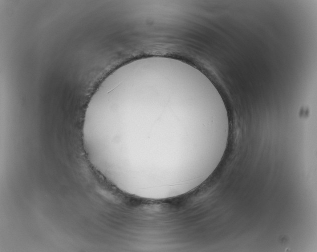X0000113100307200908280958