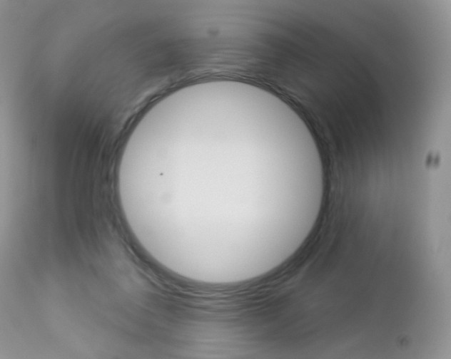 X0000113100308200908280958