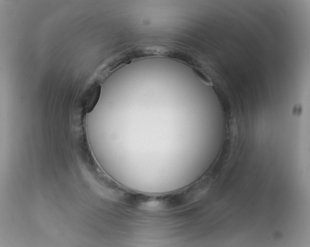 X0000113100312200908280958