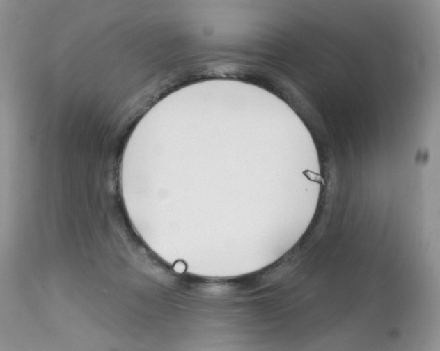 X0000113100313200908280958