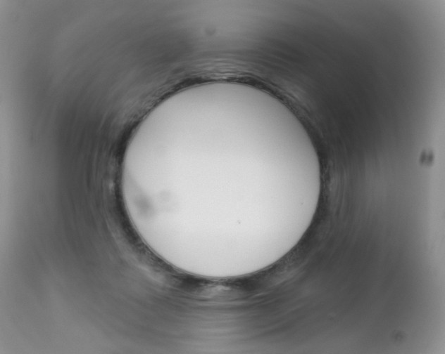 X0000113100315200908280958