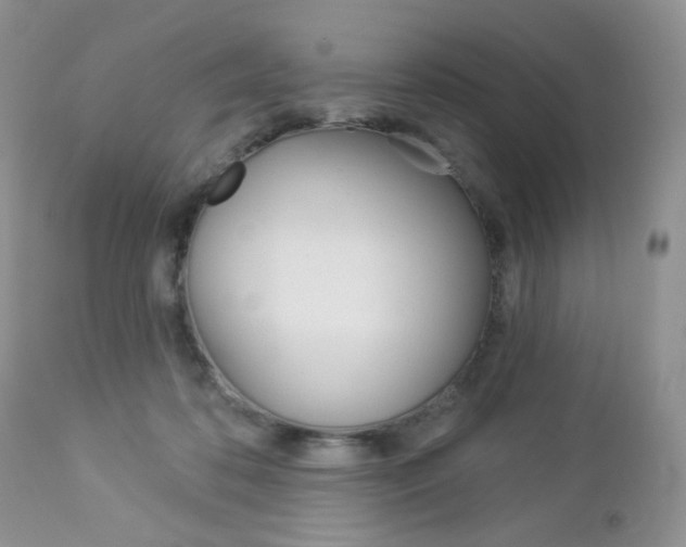 X0000113100316200908280958