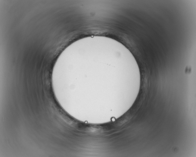 X0000113100317200908280958